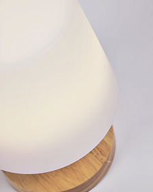 Настольная переносная лампа Ambar из полиэтилена и дерева