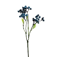 Растение синего цвета 26343