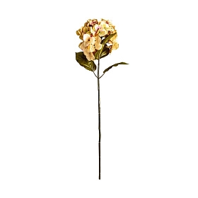 Цветок HORTENSIA желтый