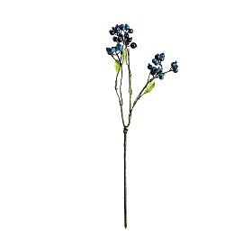 Растение синего цвета 26343