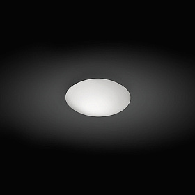 Настенный/потолочный светильник Puck 5400
