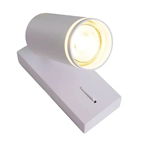 Настенный светильник-спот ARAS BR08079