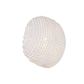 Бра Tati Medium DIMMABLE