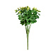 Растение в зеленом классическом стиле 26356