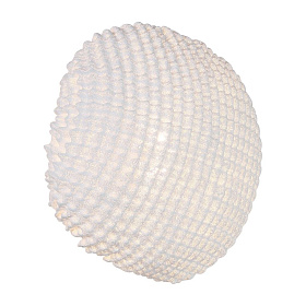 Бра Tati Large DIMMABLE