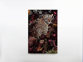 Печатная фотография на стекле Leopardo 80x120