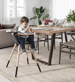 Стул Micuna OVO ORIGINAL PLUS TIMBER (waterwood/anthracite) полипропиленовые ремни grey