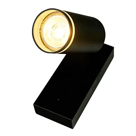 Настенный светильник-спот ARAS BR08080